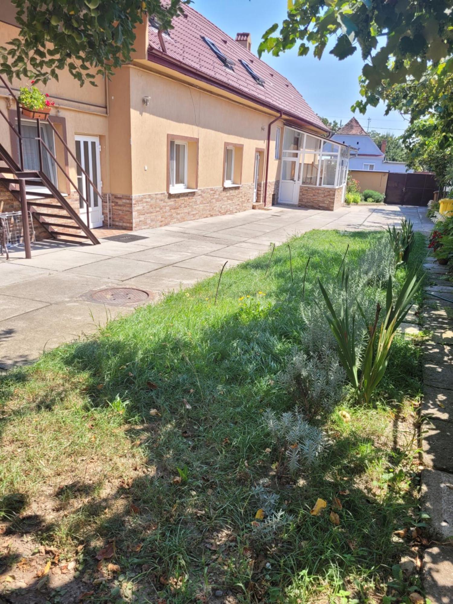 Studio Sibiu Rom bilde